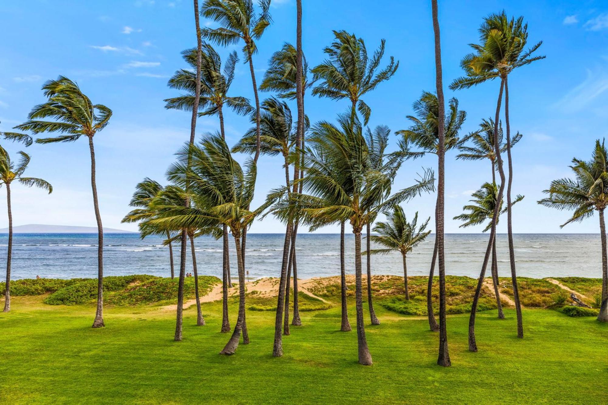 Hale Kai O'Kihei 118 Villa Exteriör bild