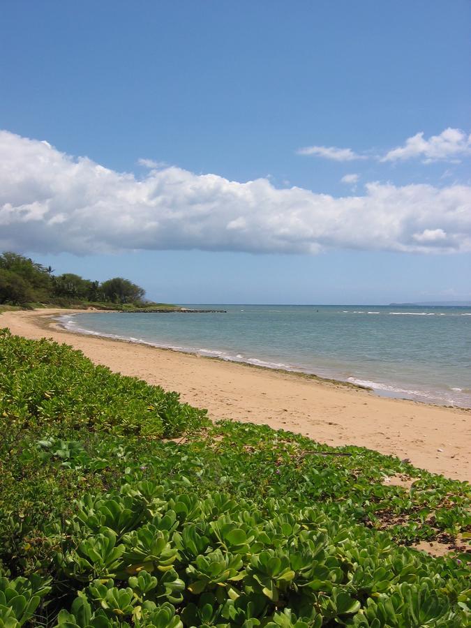 Hale Kai O'Kihei 118 Villa Exteriör bild